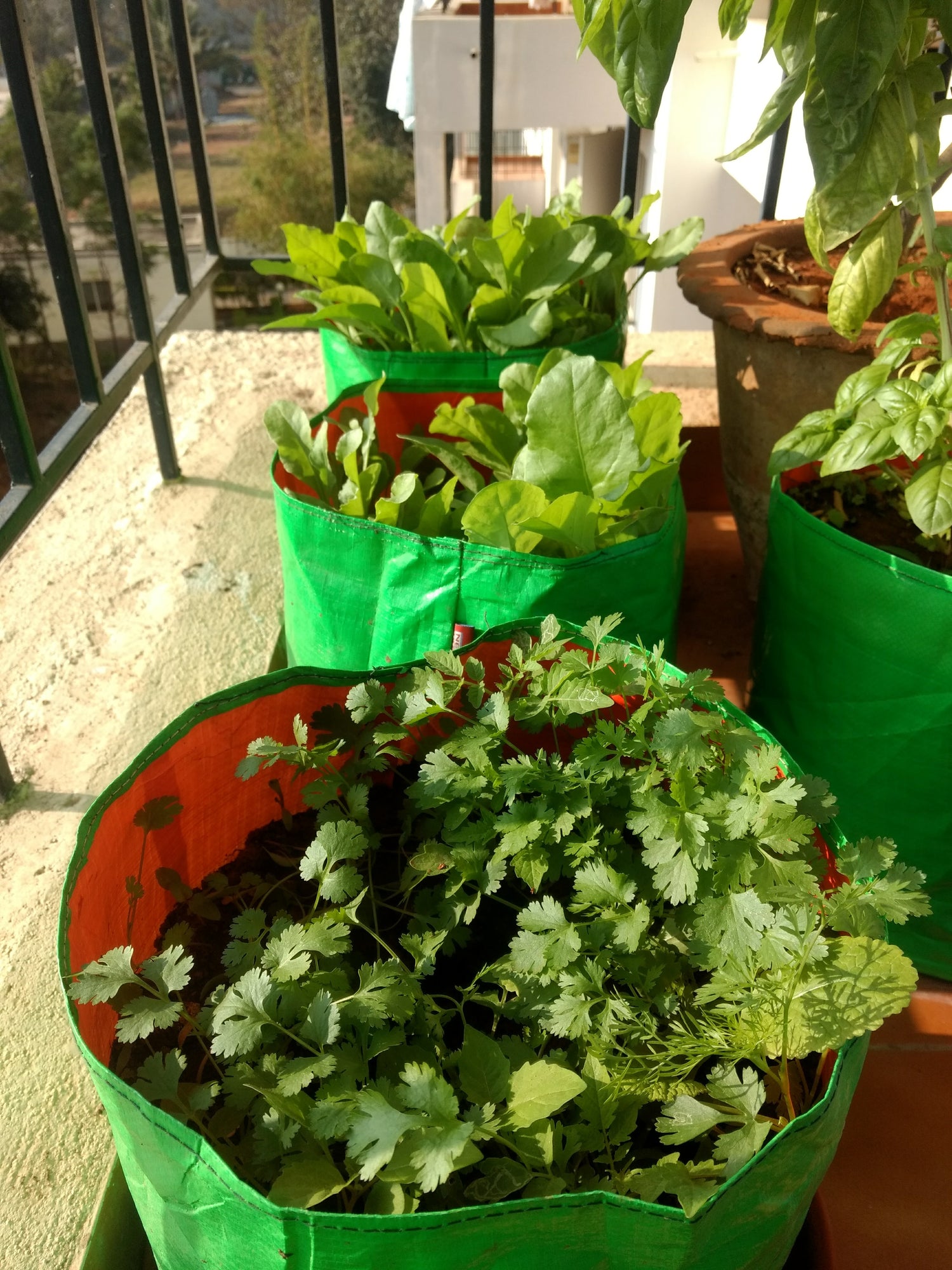 Balcony Grow Bag Block - Large – Seedor
