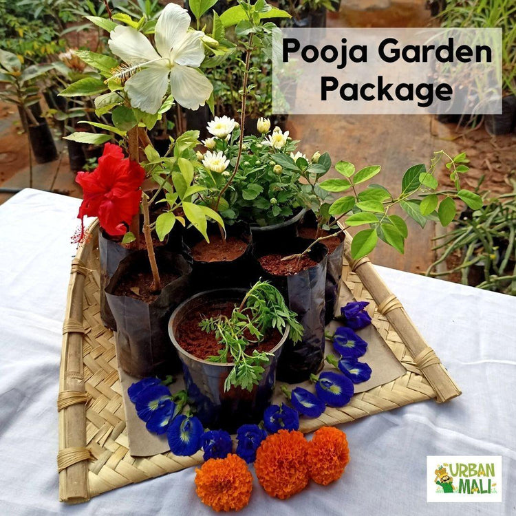 Pooja Garden Package - UrbanMali Network